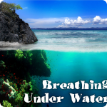 underwaterbox